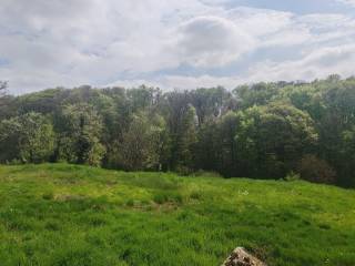 Strigova, Grabrovnik