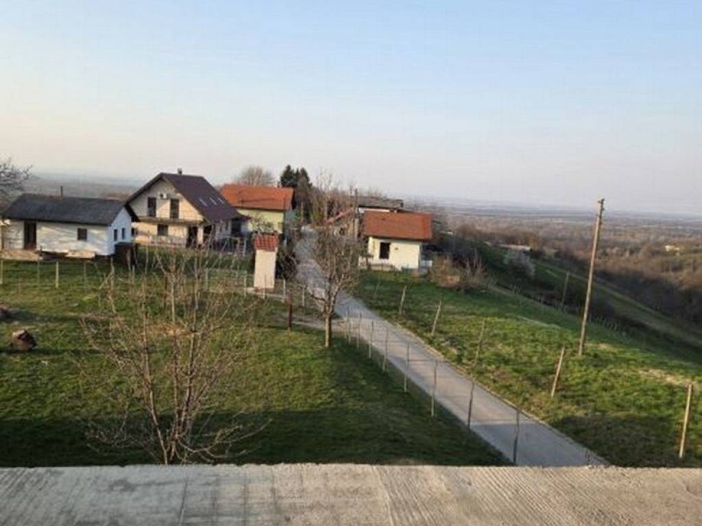 Strigova, Banfi