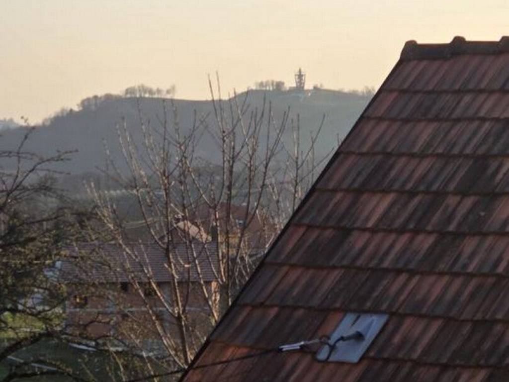 Strigova, Banfi