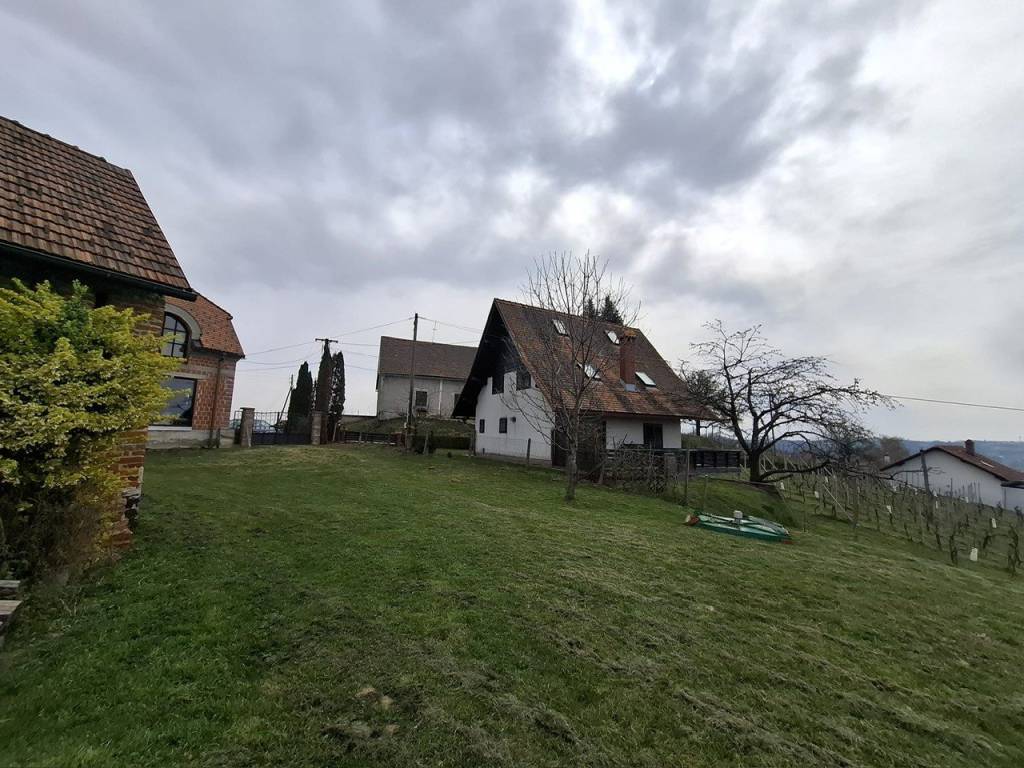 Strigova, Banfi