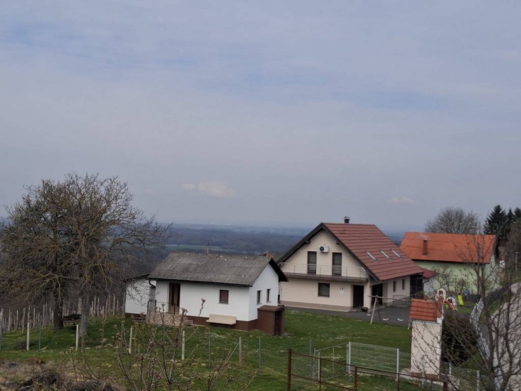 Strigova, Banfi
