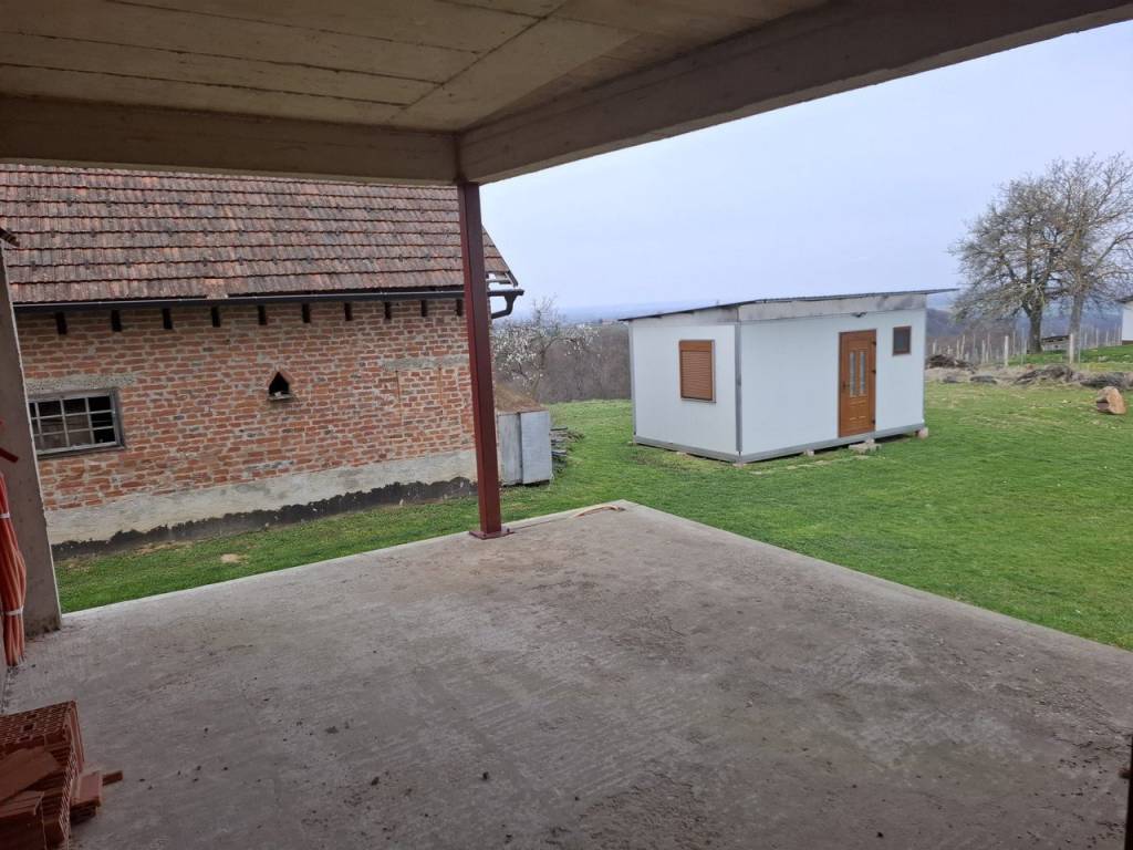 Strigova, Banfi