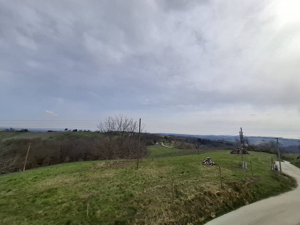 Strigova, Banfi