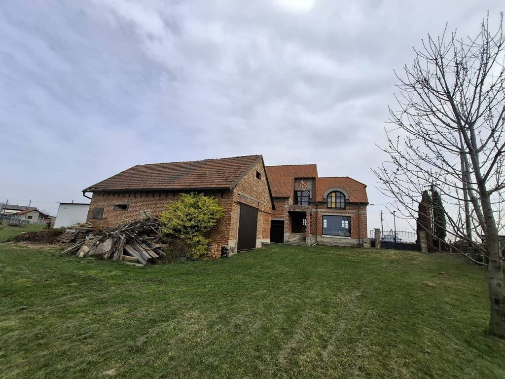 Strigova, Banfi