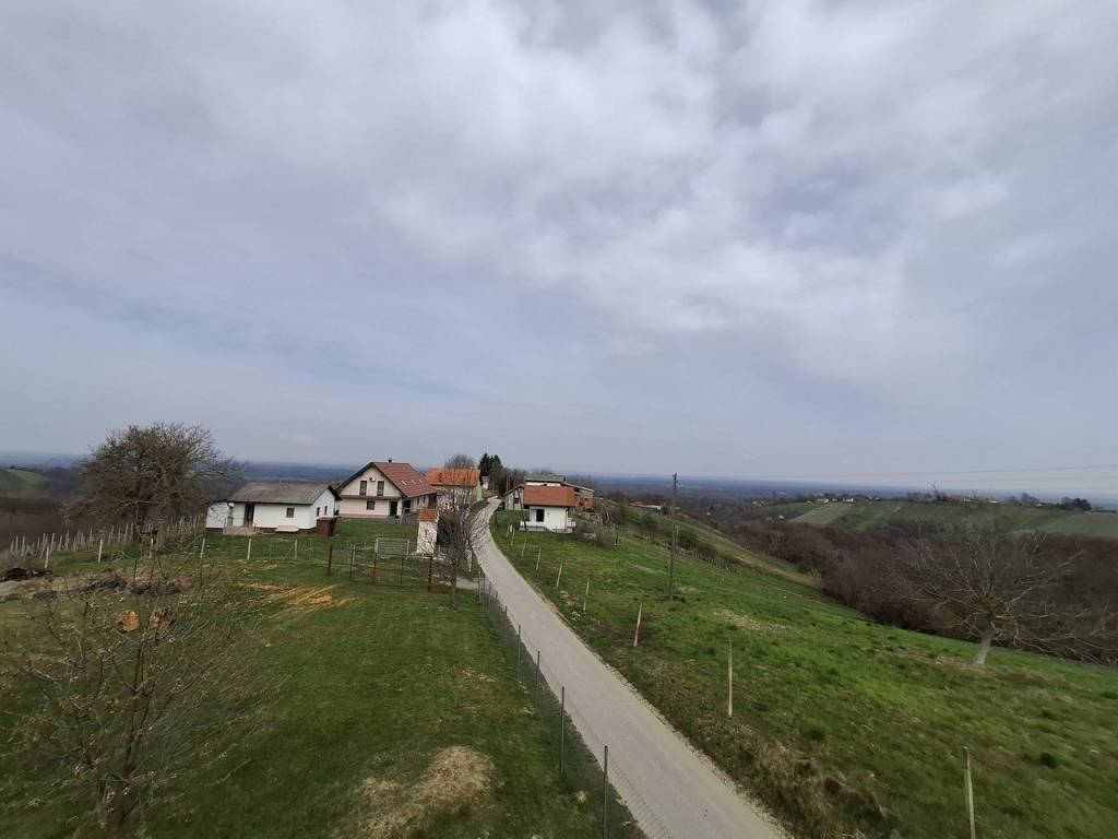 Strigova, Banfi