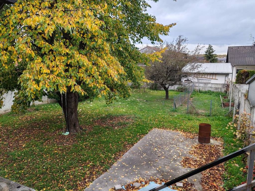 Senkovec, Senkovec