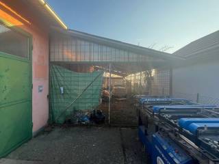 Hala, Prodaja, Pribislavec, Pribislavec