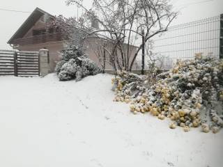 Gornji mihaljevec, Vugrisinec