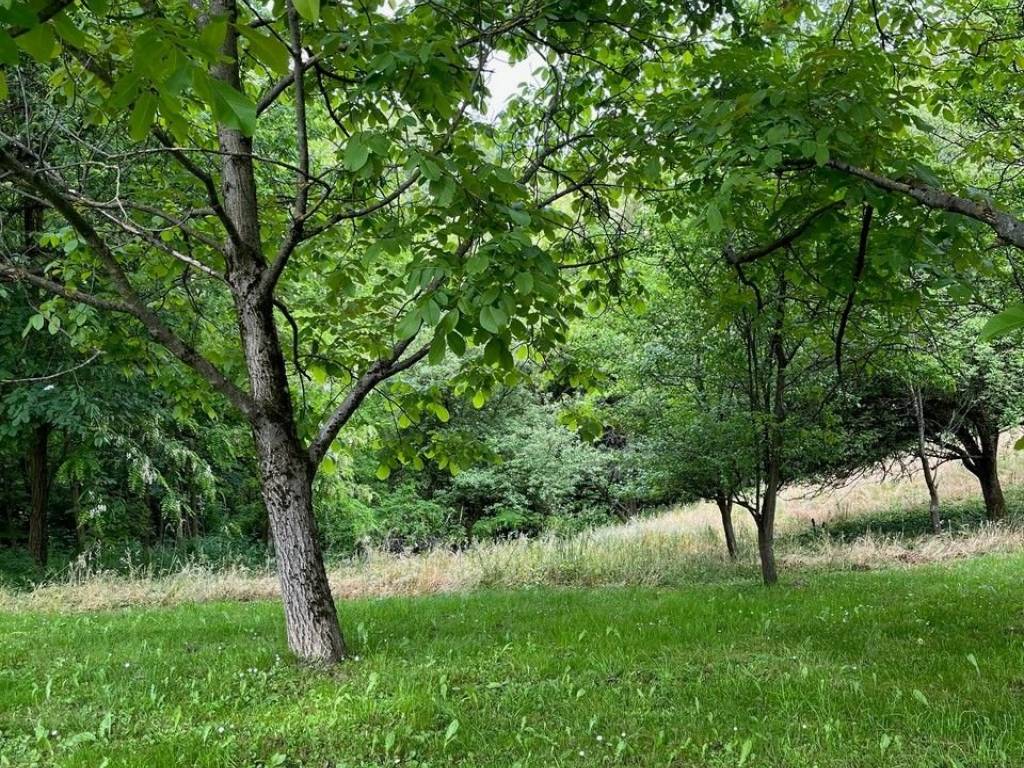 Kuca prizemnica, Prodaja, Sveti Juraj na Bregu, Pleskovec