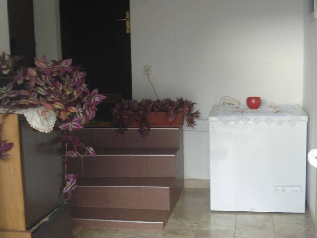 Lokal, Prodaja, Nedelisce, Nedelisce
