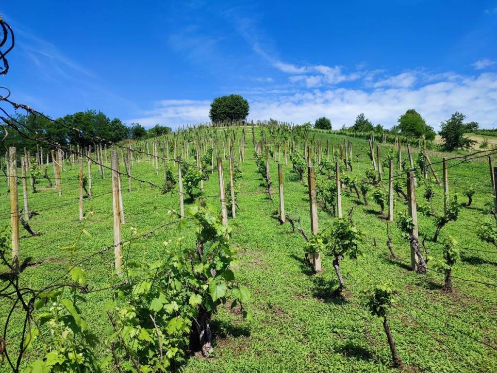 Vikend kuca, Prodaja, Sveti Martin na Muri, Gradiscak
