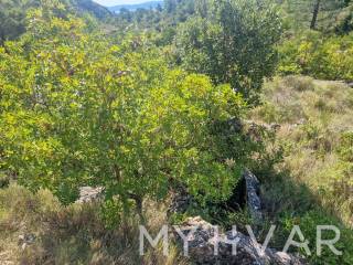 Poljoprivredno zemljiste, Prodaja, Jelsa, Vrisnik