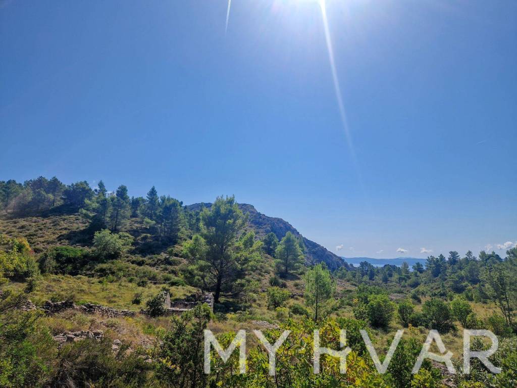 Poljoprivredno zemljiste, Prodaja, Jelsa, Vrisnik