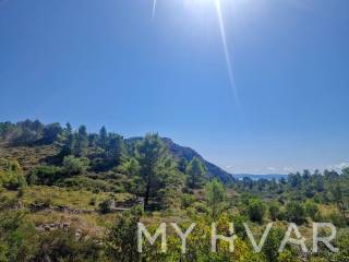 Poljoprivredno zemljiste, Prodaja, Jelsa, Vrisnik