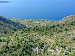 Poljoprivredno zemljiste, Prodaja, Jelsa, Vrisnik