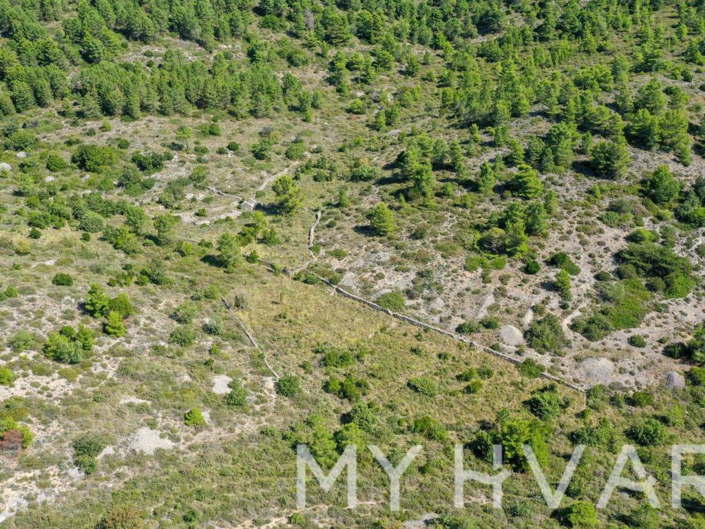 Poljoprivredno zemljiste, Prodaja, Jelsa, Vrisnik