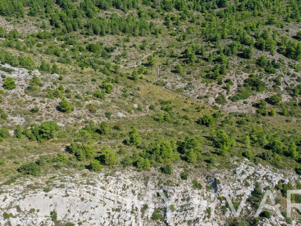 Poljoprivredno zemljiste, Prodaja, Jelsa, Vrisnik
