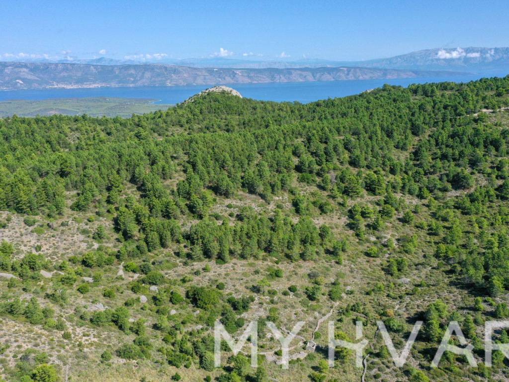 Poljoprivredno zemljiste, Prodaja, Jelsa, Vrisnik
