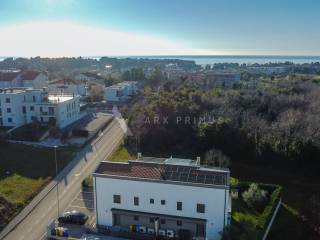 Umag, Basanija