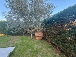 Umag, Basanija