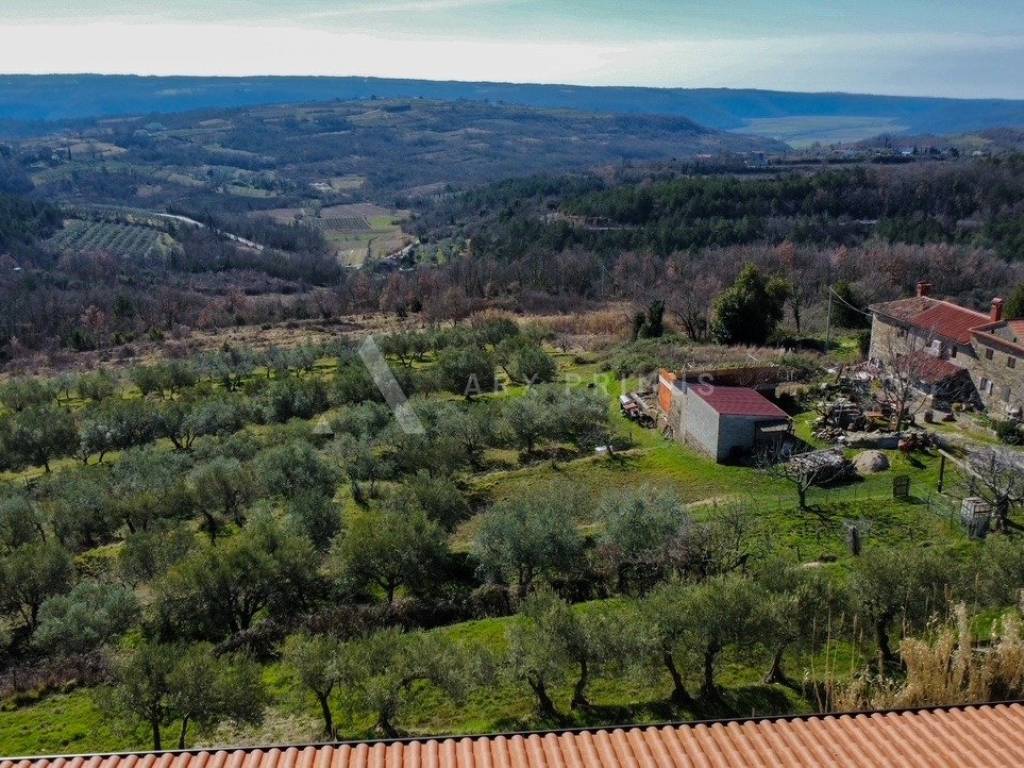 Buje, Krasica