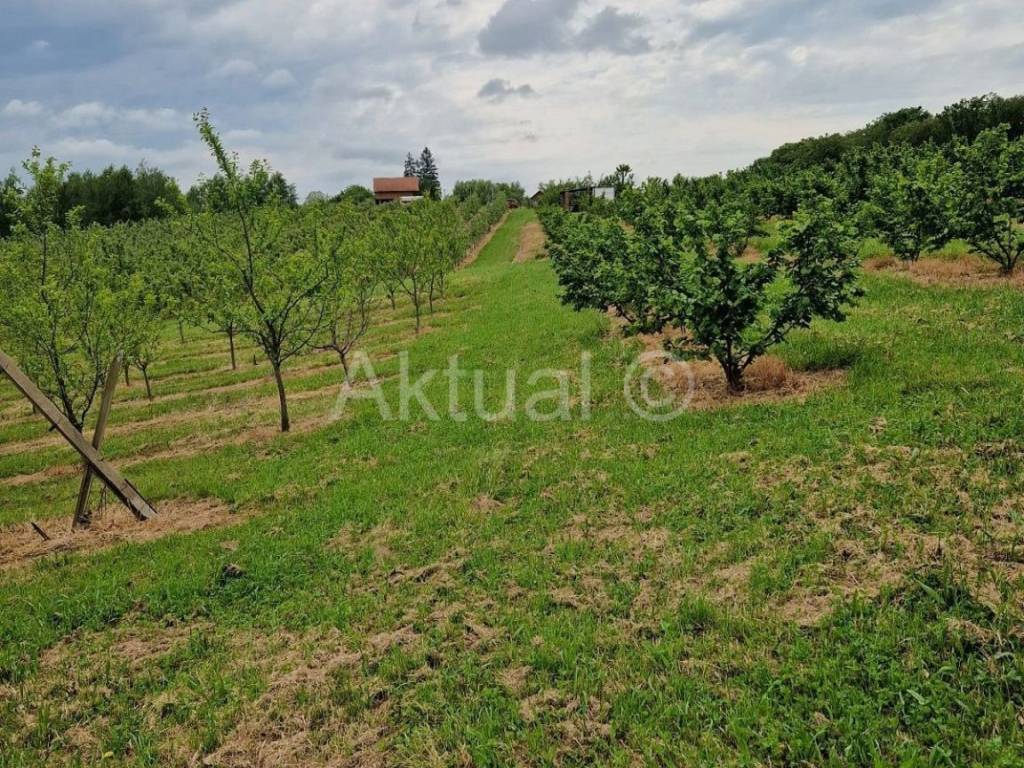 Zemljiste - ostalo, Prodaja, Velika Ludina, Mustafina Klada