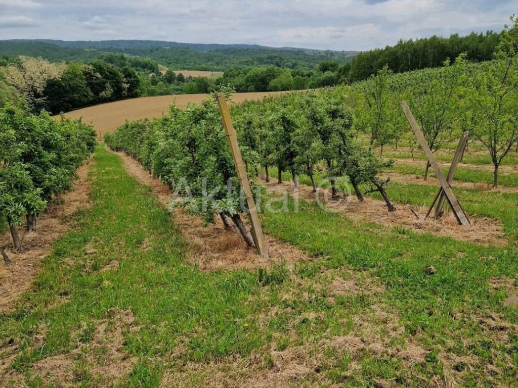 Zemljiste - ostalo, Prodaja, Velika Ludina, Mustafina Klada