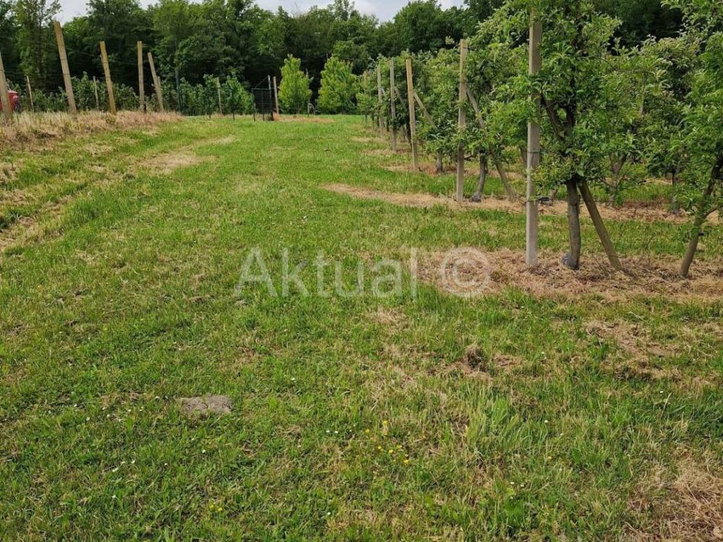 Zemljiste - ostalo, Prodaja, Velika Ludina, Mustafina Klada