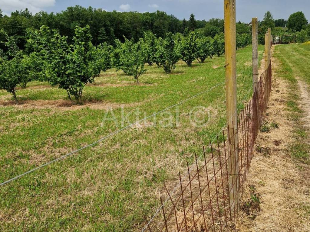 Zemljiste - ostalo, Prodaja, Velika Ludina, Mustafina Klada