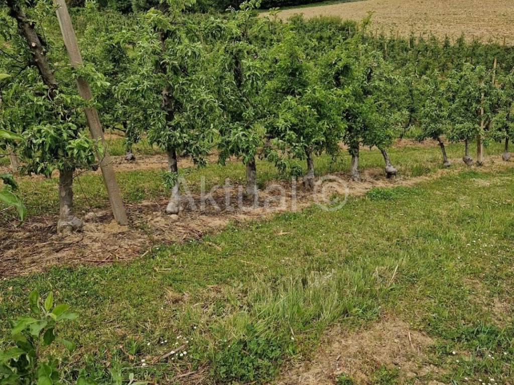 Zemljiste - ostalo, Prodaja, Velika Ludina, Mustafina Klada