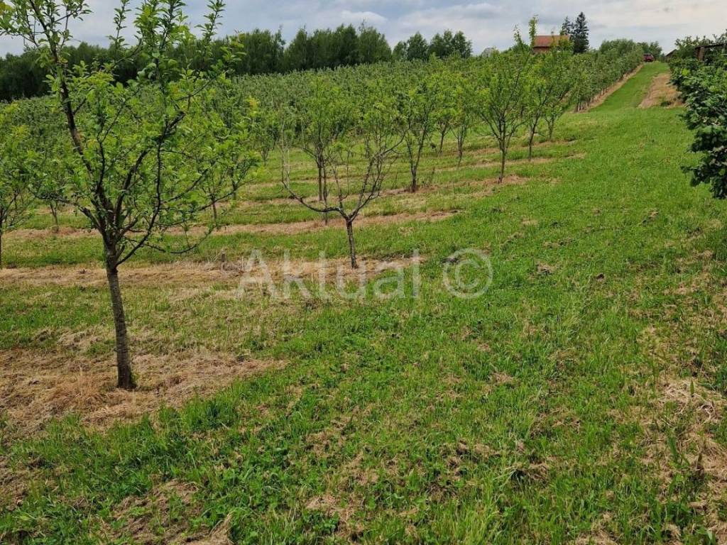 Zemljiste - ostalo, Prodaja, Velika Ludina, Mustafina Klada