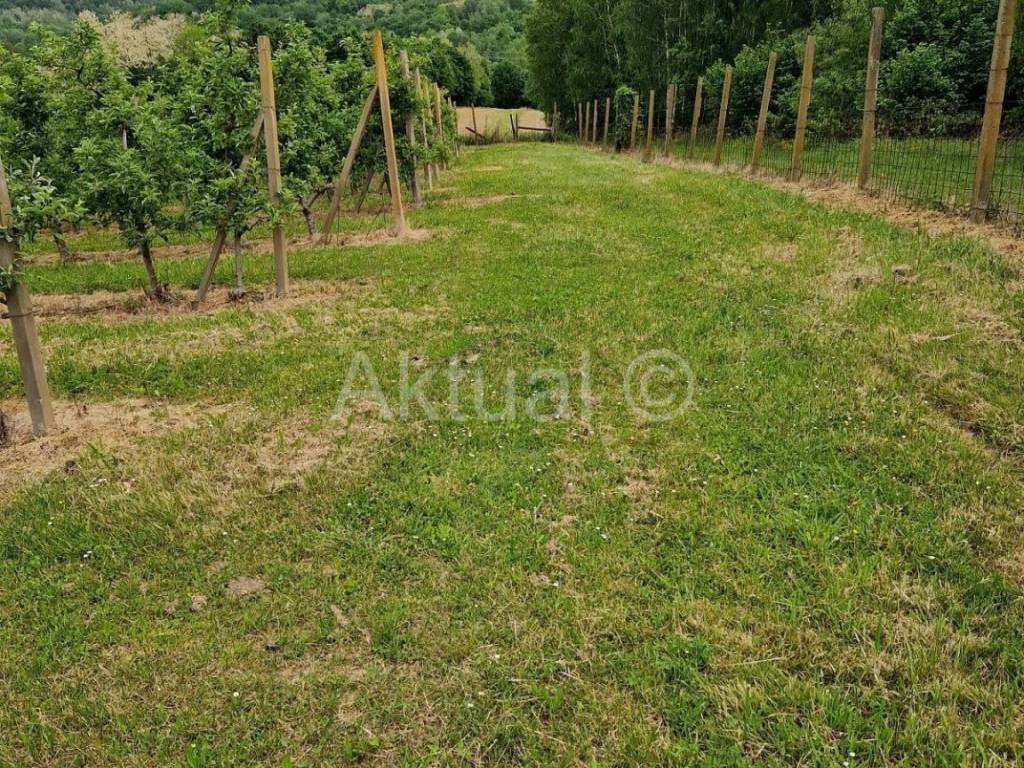 Zemljiste - ostalo, Prodaja, Velika Ludina, Mustafina Klada