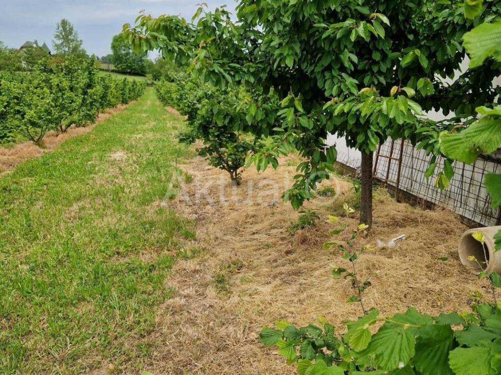 Zemljiste - ostalo, Prodaja, Velika Ludina, Mustafina Klada