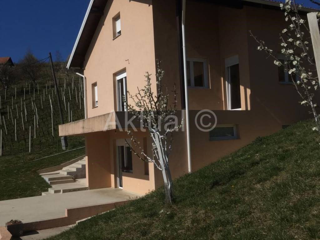Samostojeca kuca, Prodaja, Brdovec, Donji Laduc