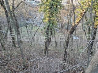 Plot for construction, Sale, Čavle, Čavle