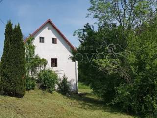 Samostojeca kuca, Prodaja, Netretic, Srednje Prilisce