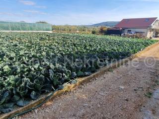 Poljoprivredno zemljiste, Prodaja, Trogir - Okolica, Divulje