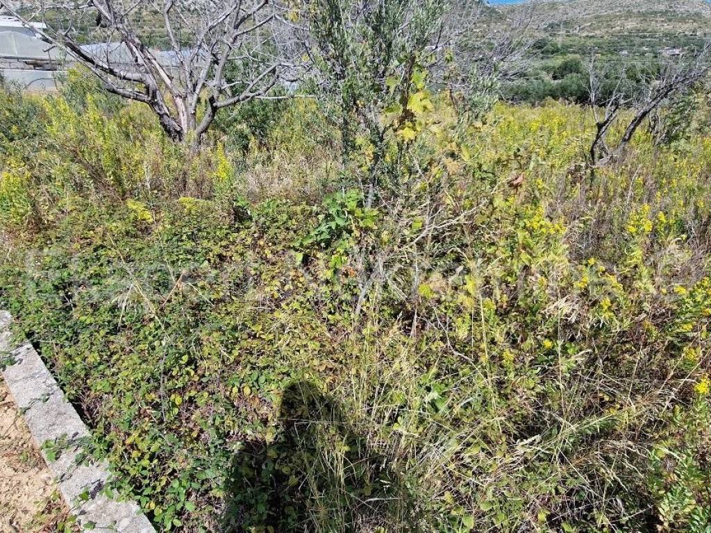 Gradjevinsko zemljiste, Prodaja, Seget, Seget Donji