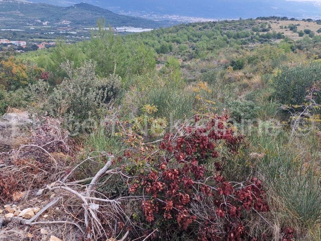 Poljoprivredno zemljiste, Prodaja, Trogir - Okolica, Plano