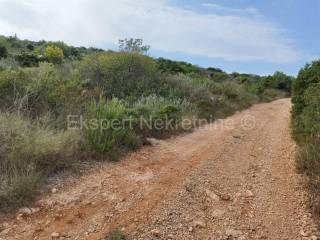 Poljoprivredno zemljiste, Prodaja, Trogir - Okolica, Drvenik Mali