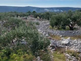 Poljoprivredno zemljiste, Prodaja, Rogoznica, Podorljak