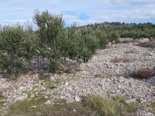 Poljoprivredno zemljiste, Prodaja, Rogoznica, Podorljak