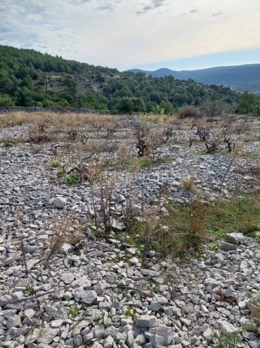 Poljoprivredno zemljiste, Prodaja, Rogoznica, Podorljak