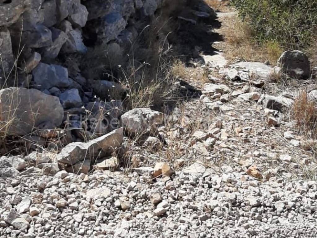 Poljoprivredno zemljiste, Prodaja, Trogir - Okolica, Drvenik Veliki