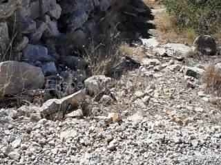 Poljoprivredno zemljiste, Prodaja, Trogir - Okolica, Drvenik Veliki