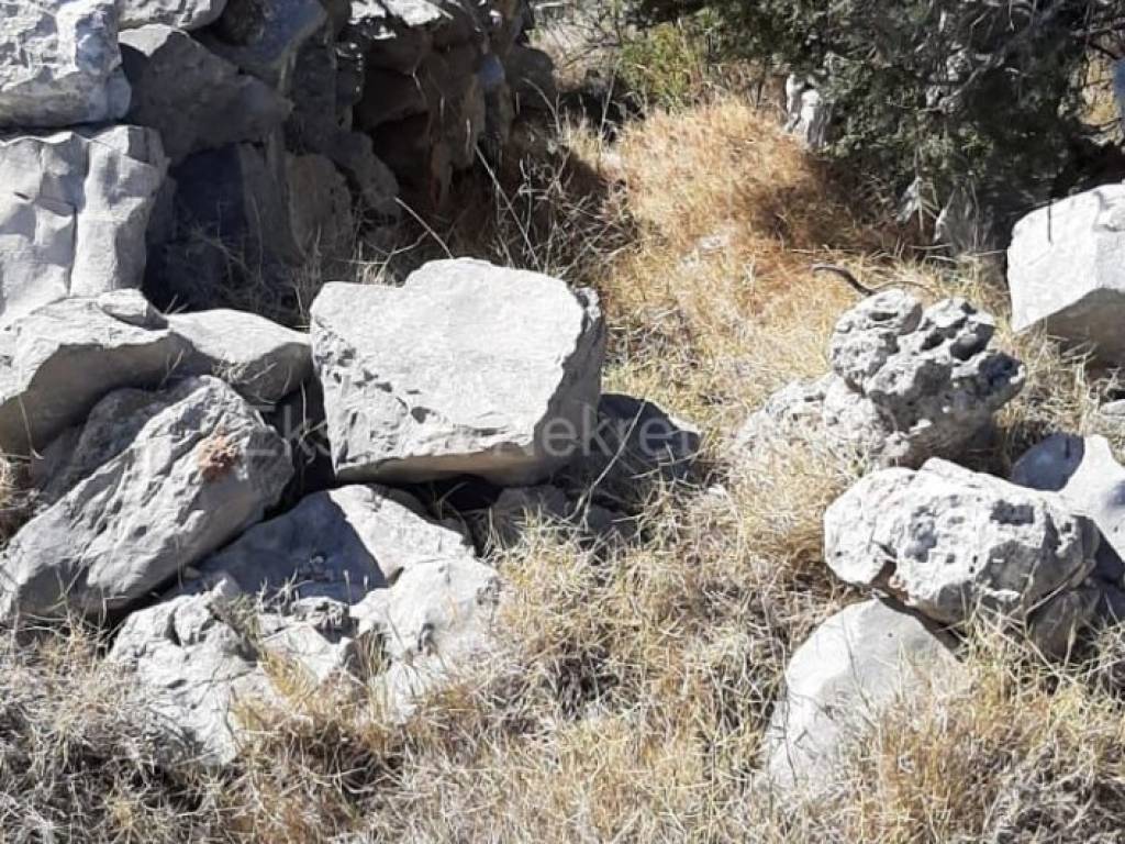 Poljoprivredno zemljiste, Prodaja, Trogir - Okolica, Drvenik Veliki