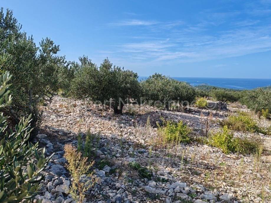 Poljoprivredno zemljiste, Prodaja, Rogoznica, Rogoznica
