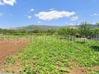 Poljoprivredno zemljiste, Prodaja, Kastela, Kastel Stafilic
