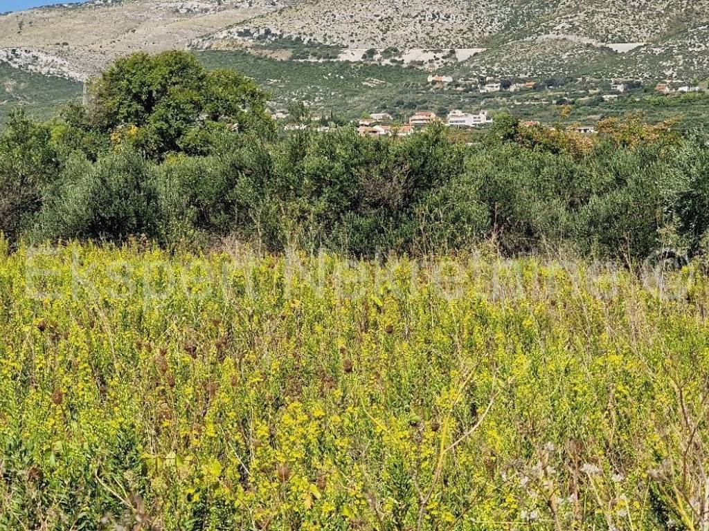 Poljoprivredno zemljiste, Prodaja, Trogir - Okolica, Plano
