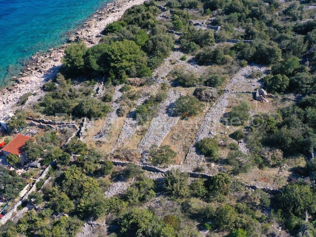 Poljoprivredno zemljiste, Prodaja, Trogir - Okolica, Drvenik Veliki